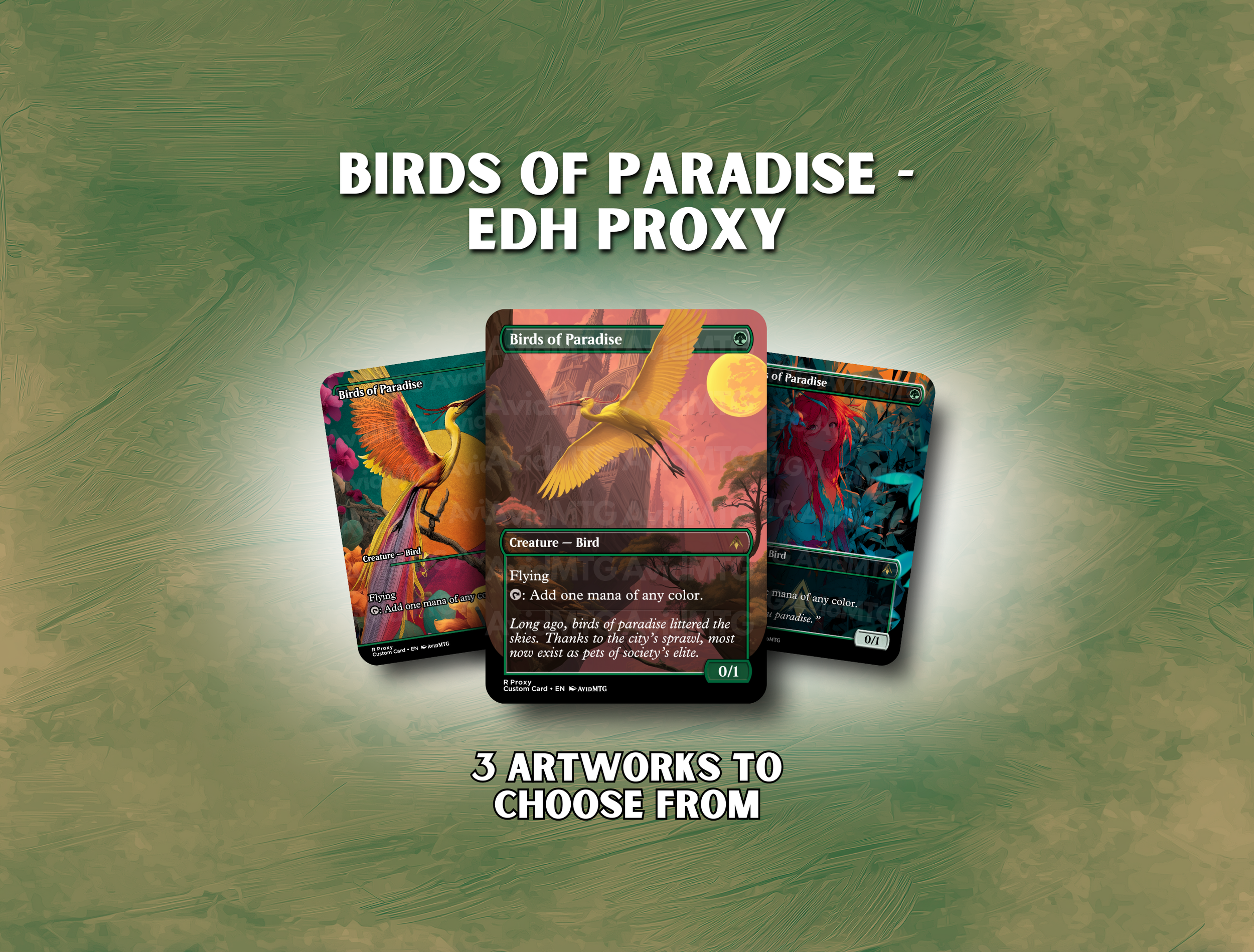 Birds of Paradise.png