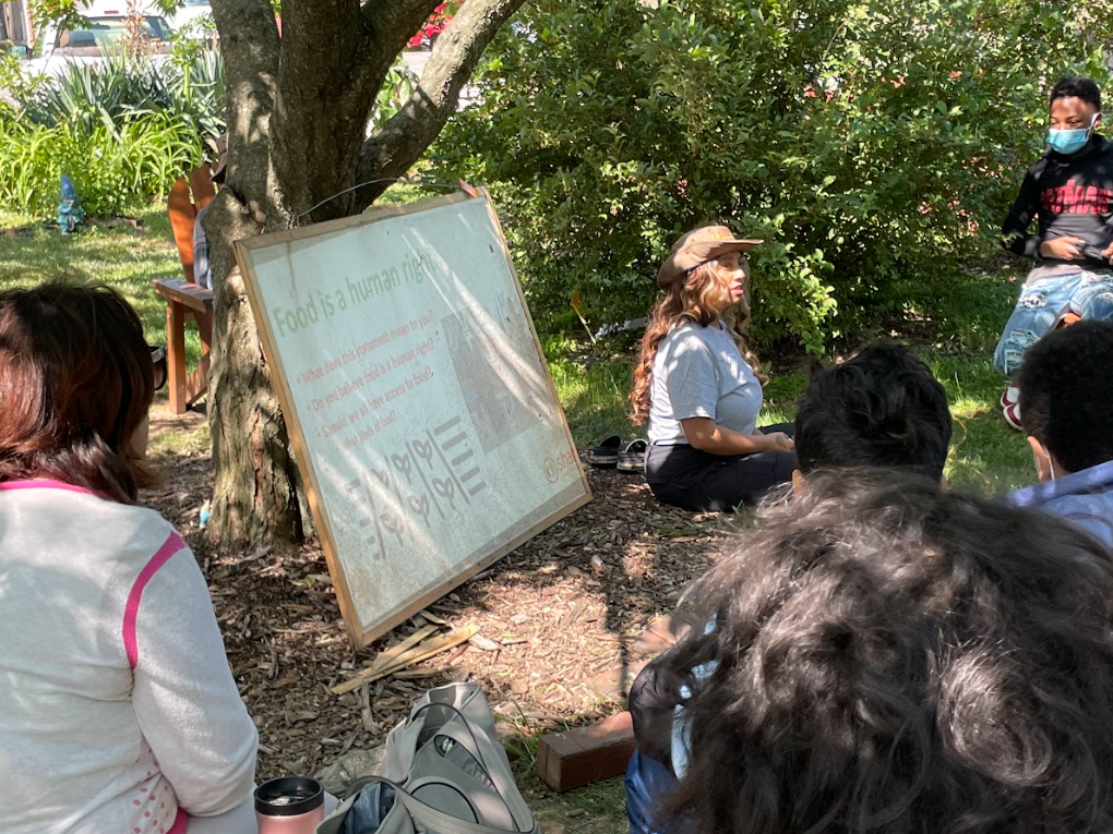 Screen Shot 2024-10-13 at 7.33.20 PM.png