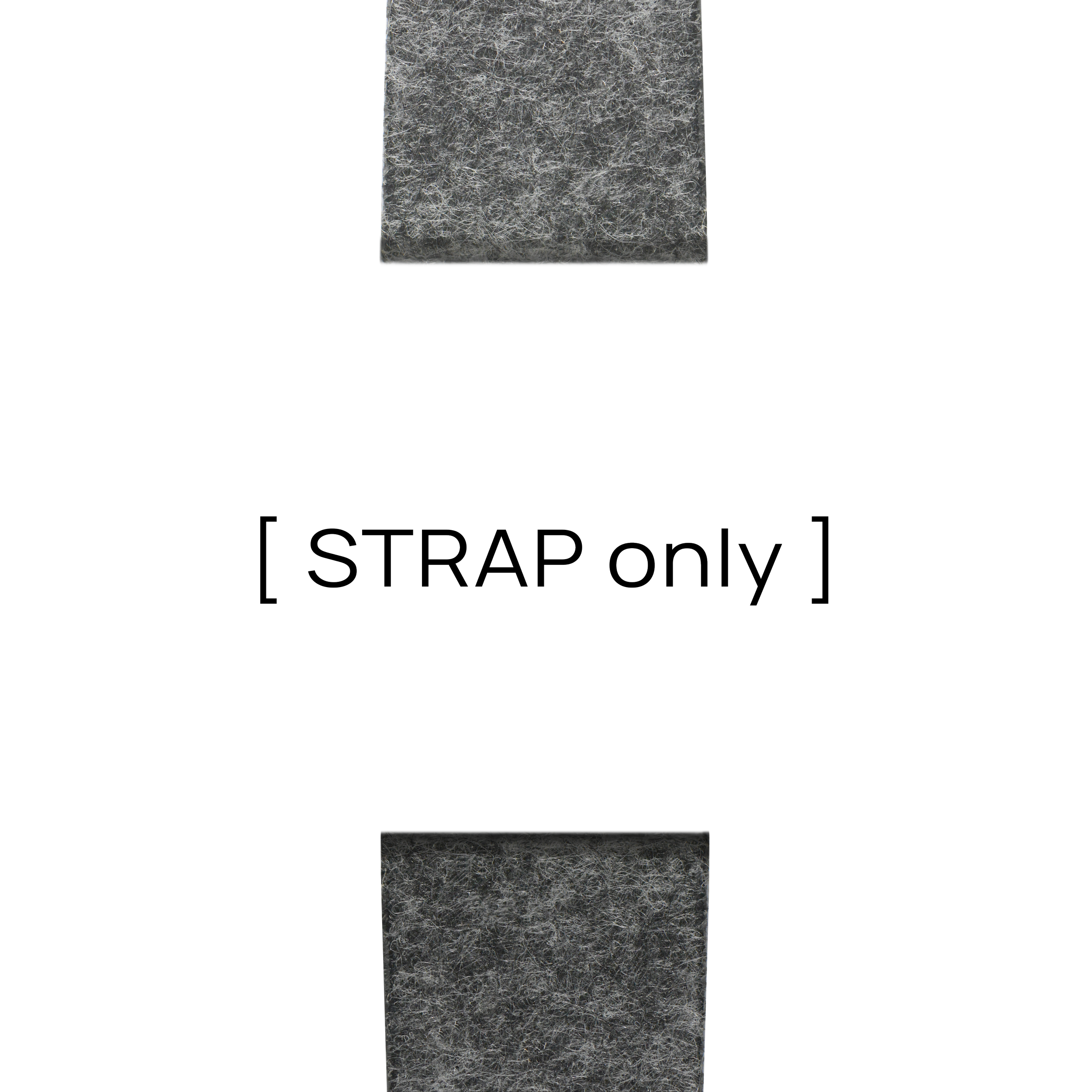002.2 STRAP only for website.png