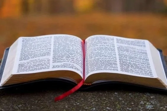 Lord’s Day Reflection: ‘Tending the fire of God’s love in prayer’
