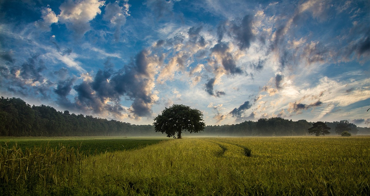“Laudate Deum”: the Pope’s cry for a response to the climate crisis