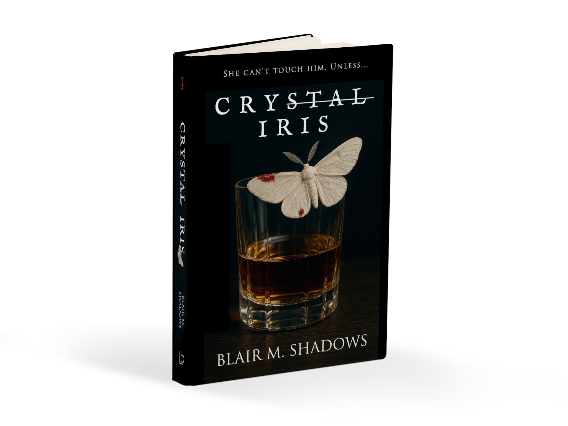 textured-hard-cover-book-mockup-standing-on-a-transparent-surface-a15460 copy.png