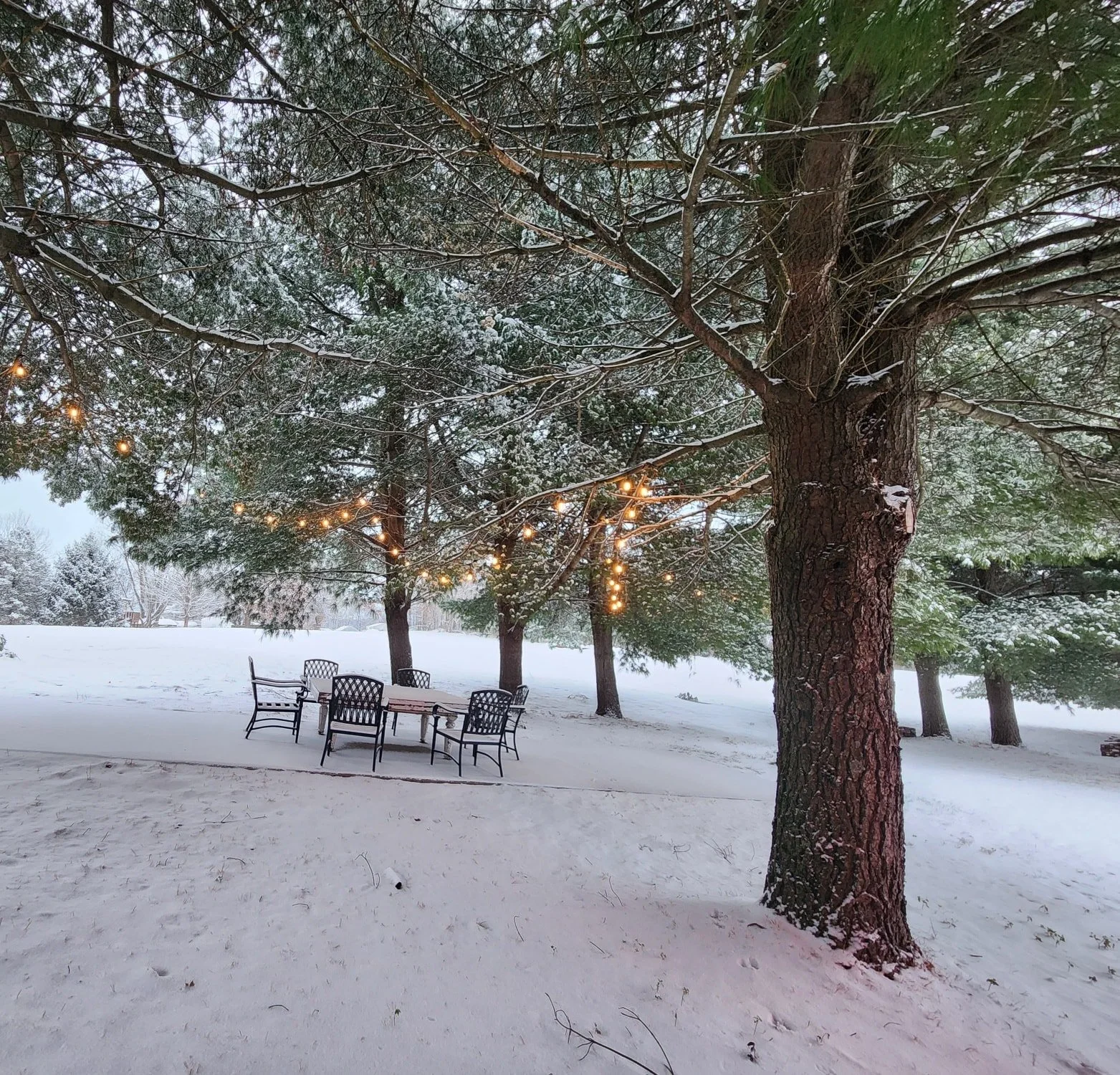 This morning&rsquo;s fresh snowfall brought a quiet kind of magic to the farm, the kind that makes you pause, breathe a little deeper, and feel wonderfully small in this big, beautiful world. 

There&rsquo;s something about waking up to a landscape s