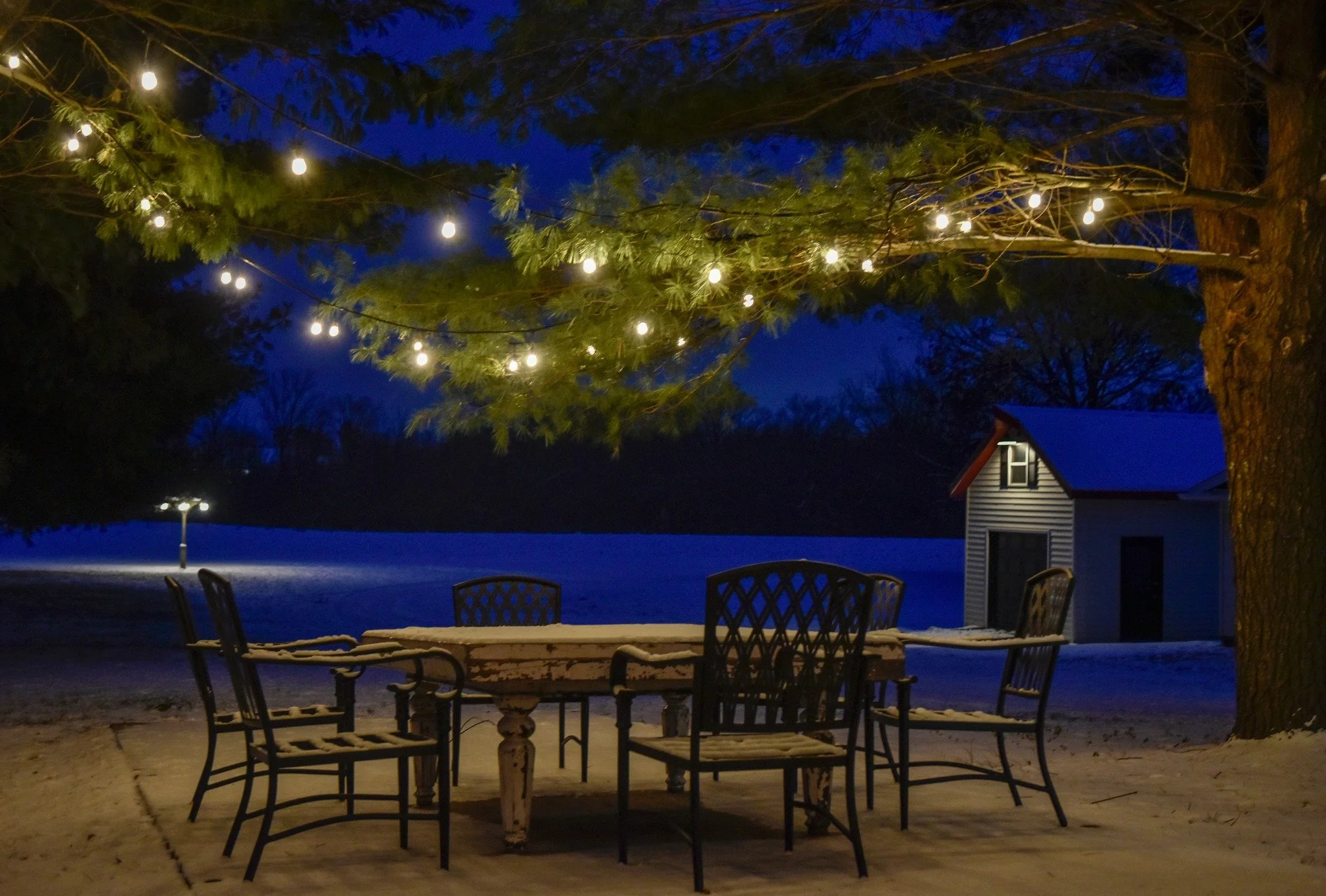 The quiet days between Christmas and the New Year offer a rare pause.

Here on the farm, winter brings stillness, a time for reflection, gratitude, and thoughtful preparation for what&rsquo;s ahead. These in-between days remind us that meaningful wor