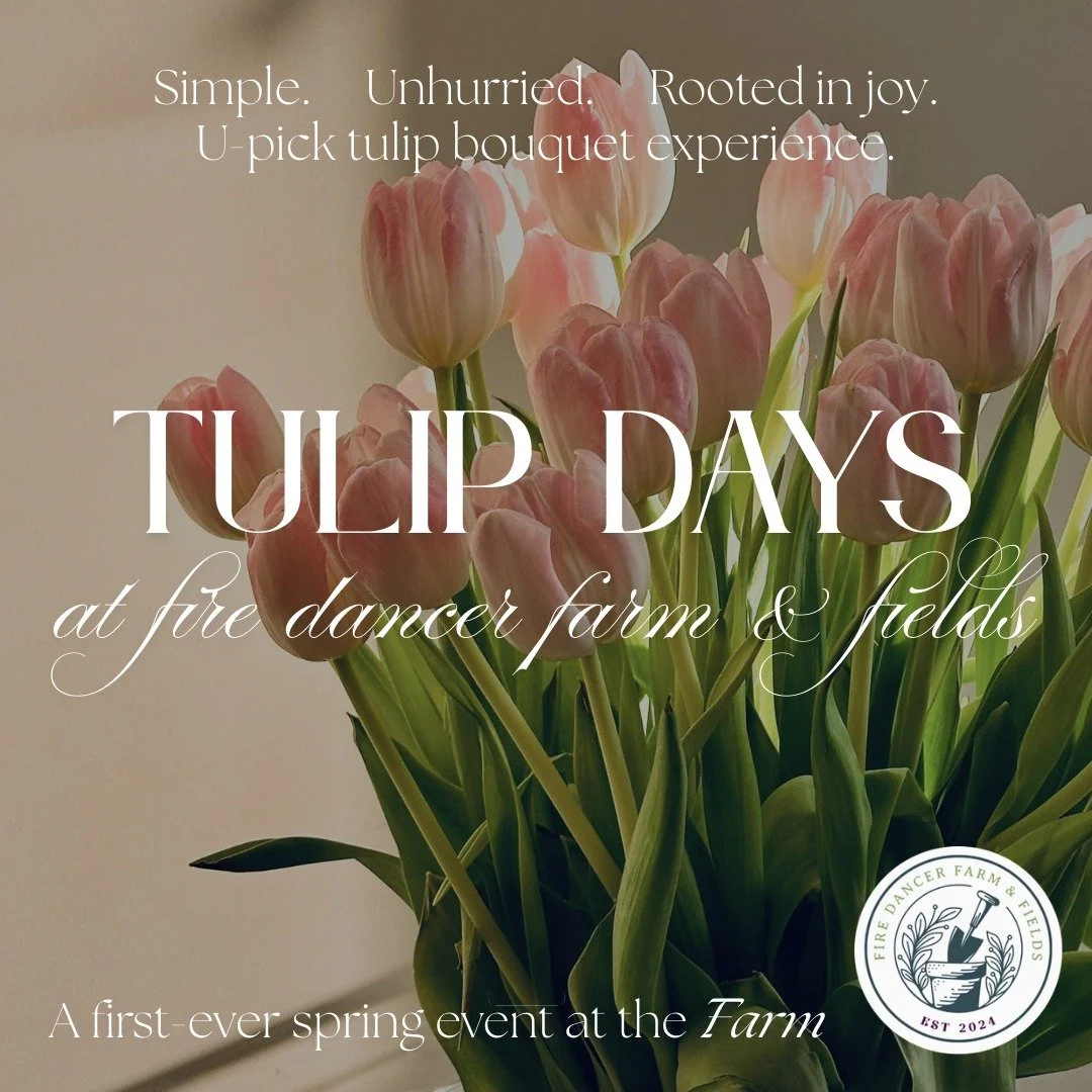 We&rsquo;ve been quietly planning something new for spring.

Tulip Days will be our first in-person gathering here at the farm, a chance to welcome the season, wander the field, and share something we&rsquo;ve been growing with care.

Simple.
Unhurri
