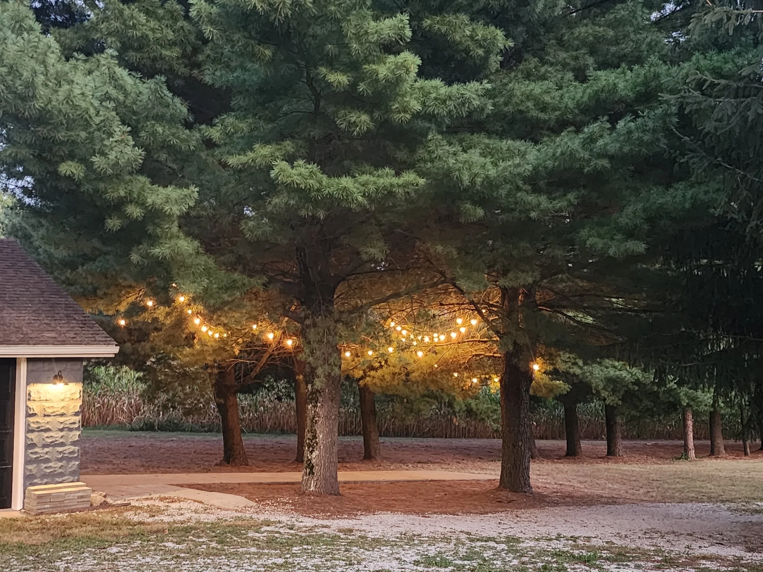 String lights.jpg