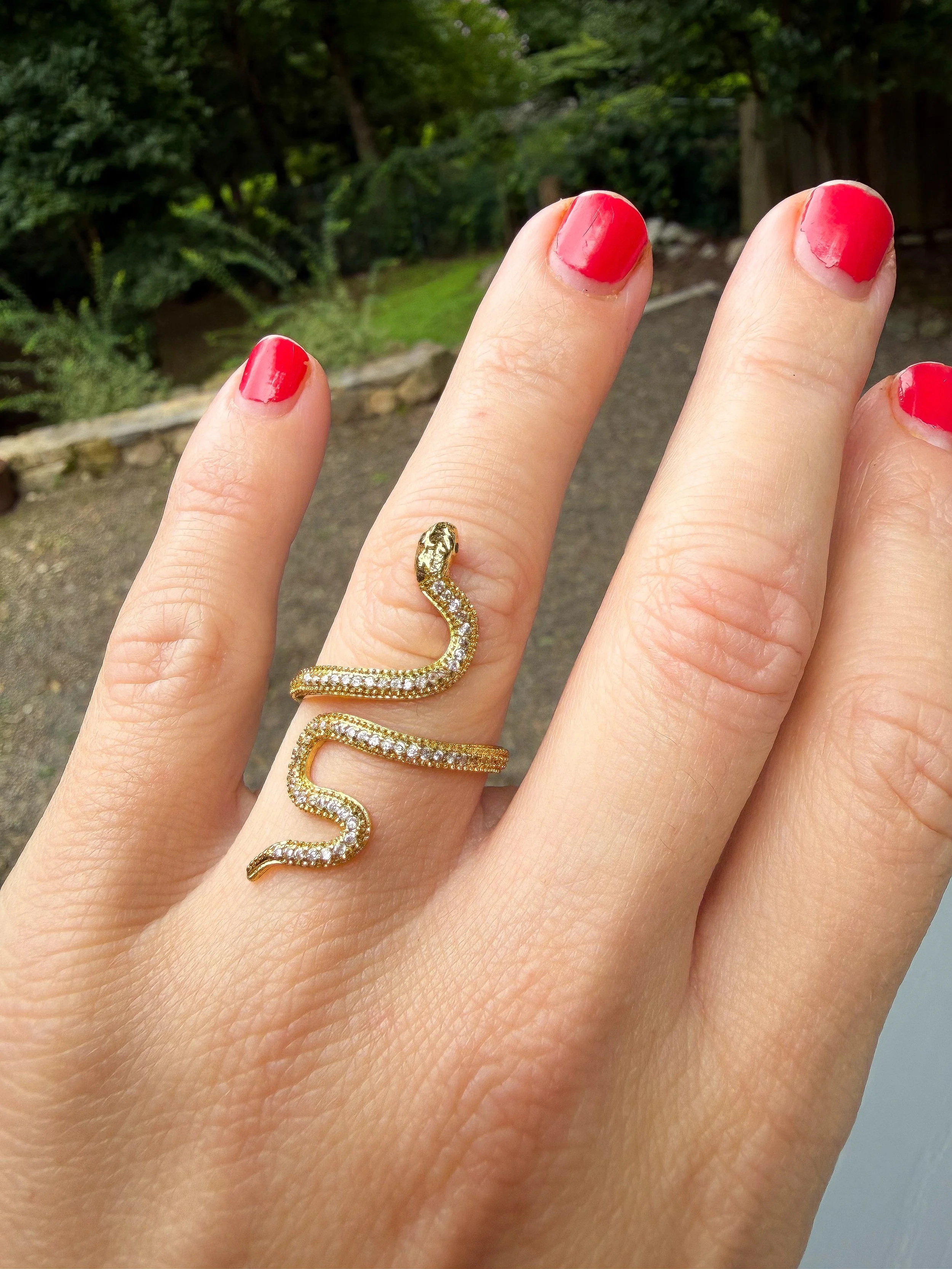 Rebirth Adjustable Ring