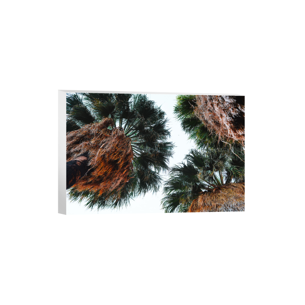 ptq_7_3_0_0_6000_4000_0_false_ffffff_0_0_.png