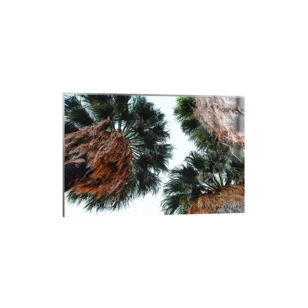 ptq_13_3_0_0_6000_4000_0_false_ffffff_0_0_.png