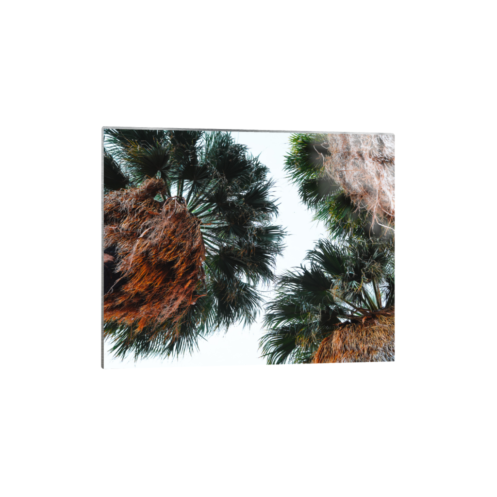 ptq_13_6_500_0_5000_4000_0_false_ffffff_0_0_.png