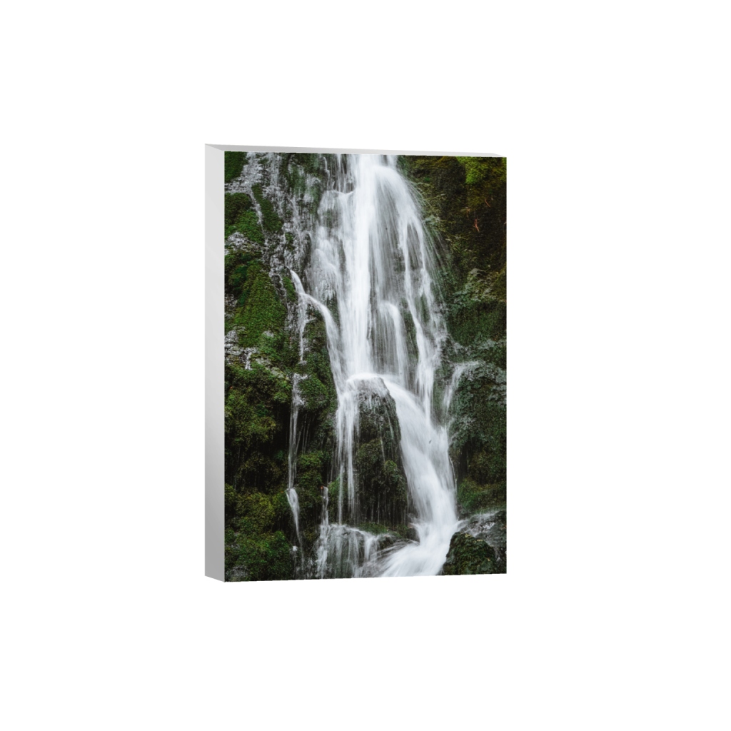 ptq_7_3_0_0_4000_6000_0_false_ffffff_0_0_.png