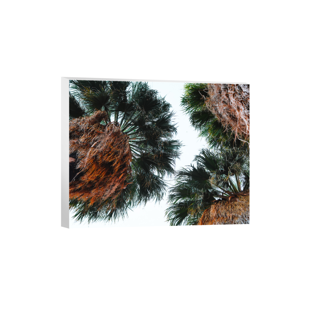 ptq_7_6_500_0_5000_4000_0_false_ffffff_0_0_.png