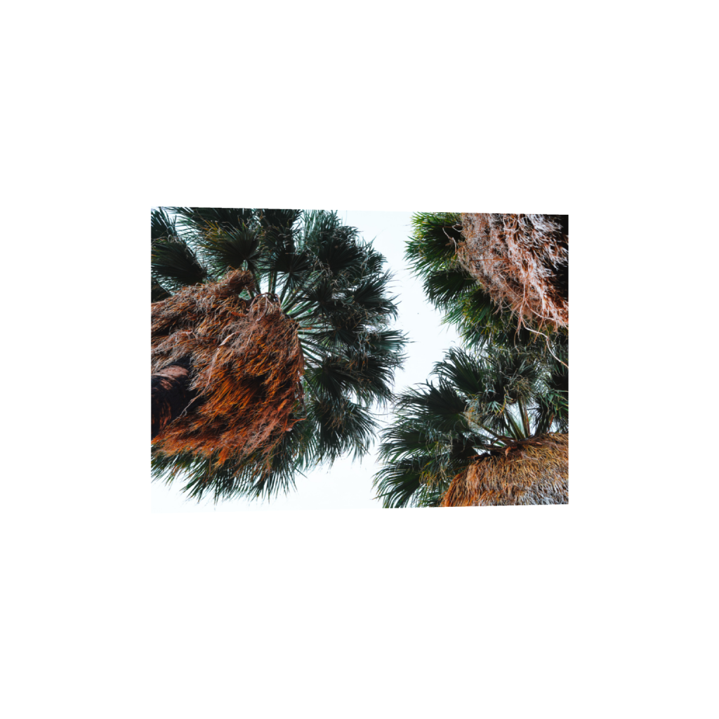 ptq_1_7_200_0_5600_4000_0_false_ffffff_0_0_.png