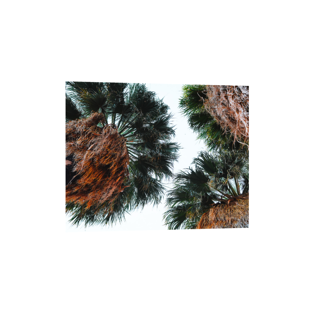 ptq_1_6_500_0_5000_4000_0_false_ffffff_0_0_.png