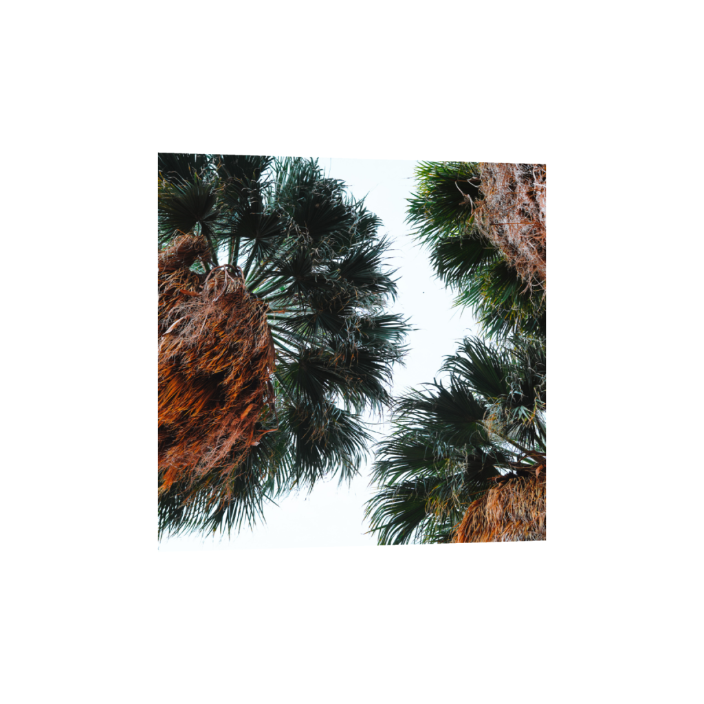 ptq_1_0_1000_0_4000_4000_0_false_ffffff_0_0_.png
