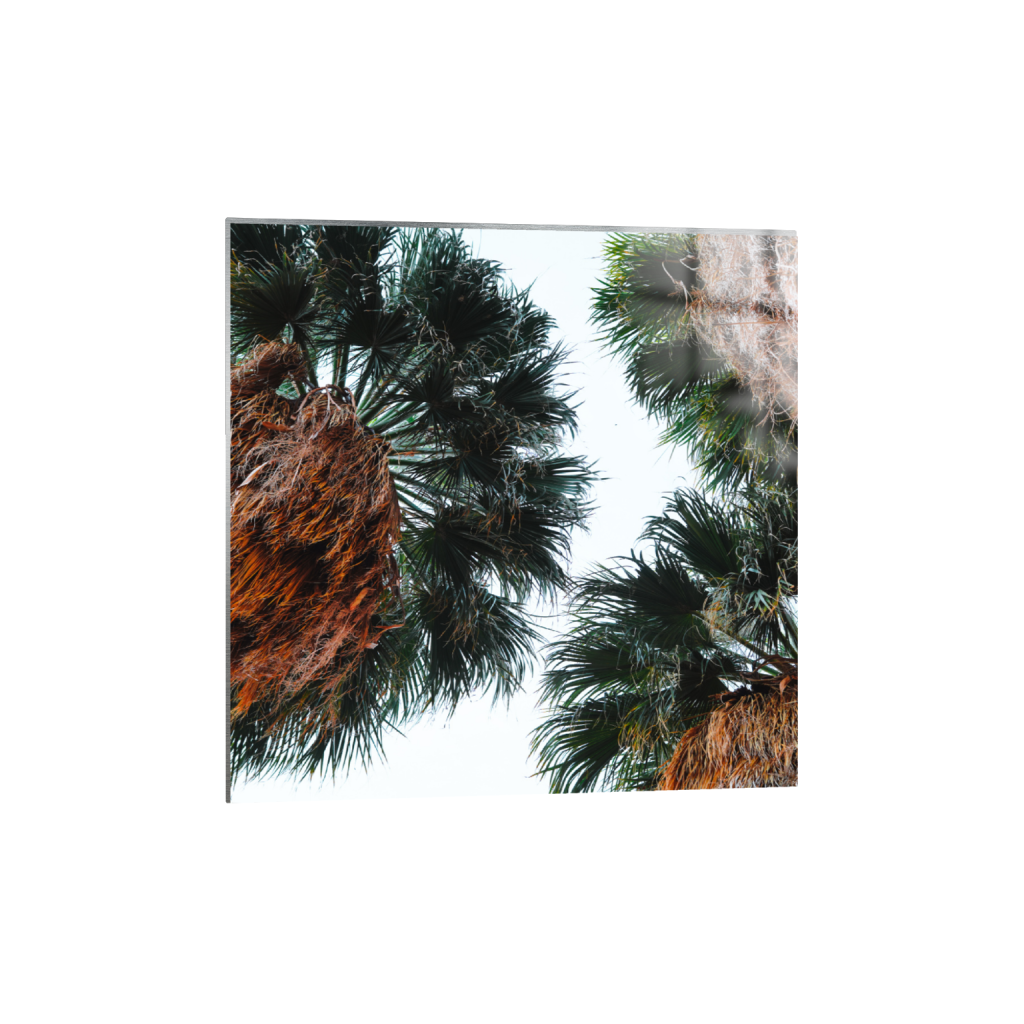 ptq_13_0_1000_0_4000_4000_0_false_ffffff_0_0_.png