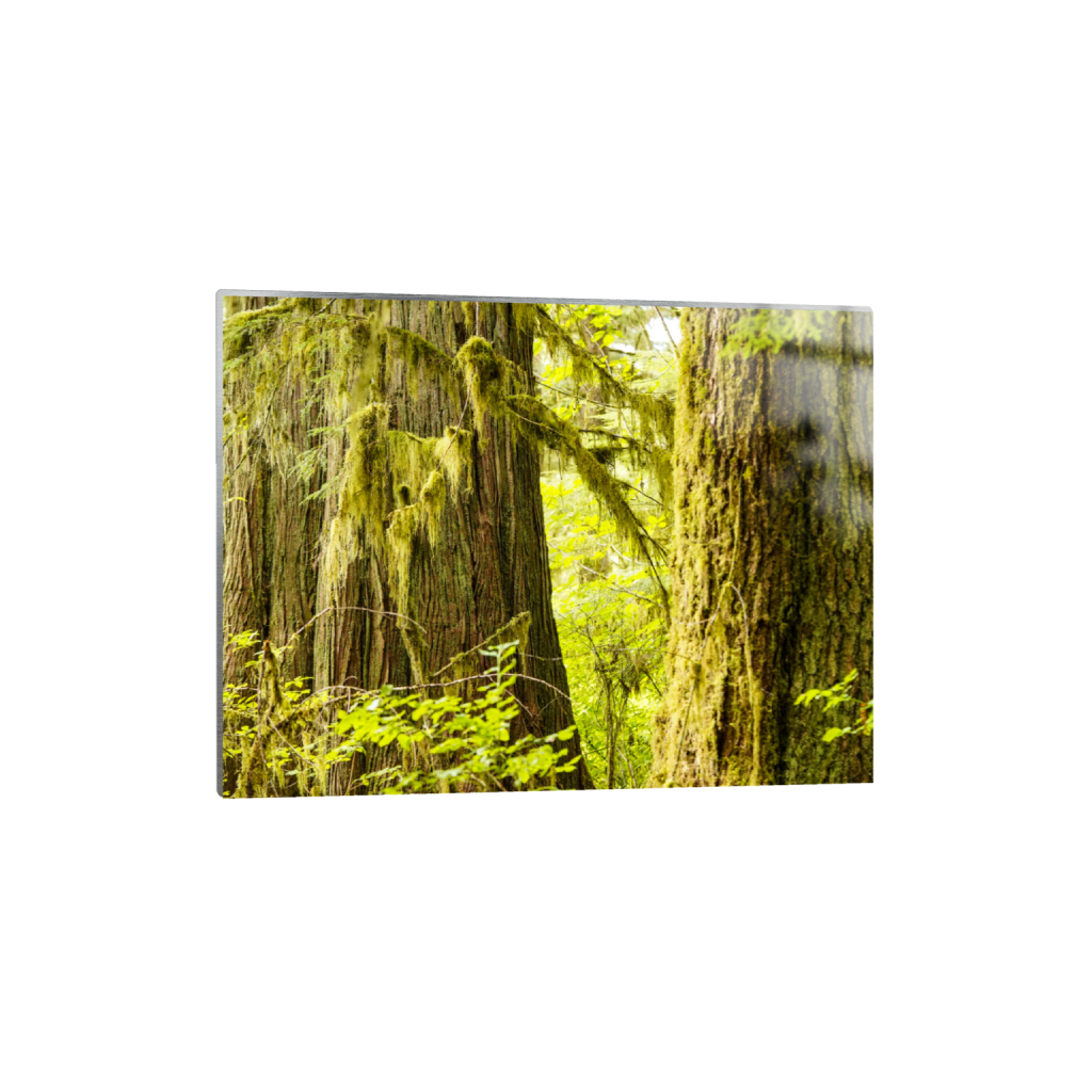 ptq_13_5_333_0_5333_4000_0_false_ffffff_0_0_.png