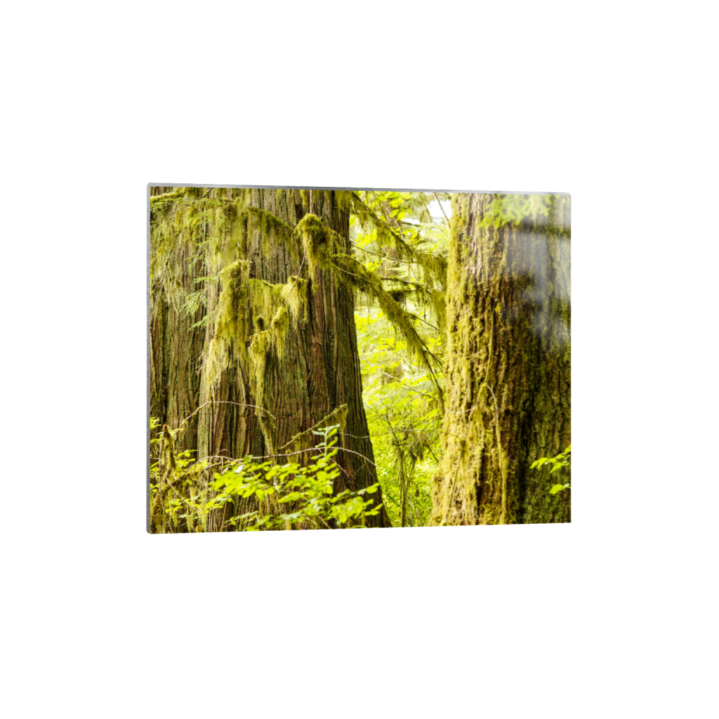 ptq_13_6_500_0_5000_4000_0_false_ffffff_0_0_.png