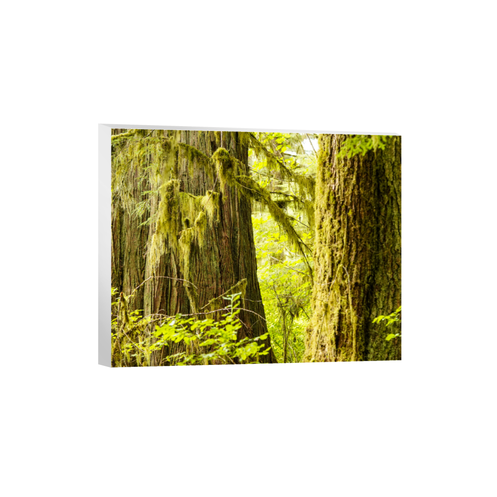 ptq_7_6_500_0_5000_4000_0_false_ffffff_0_0_.png