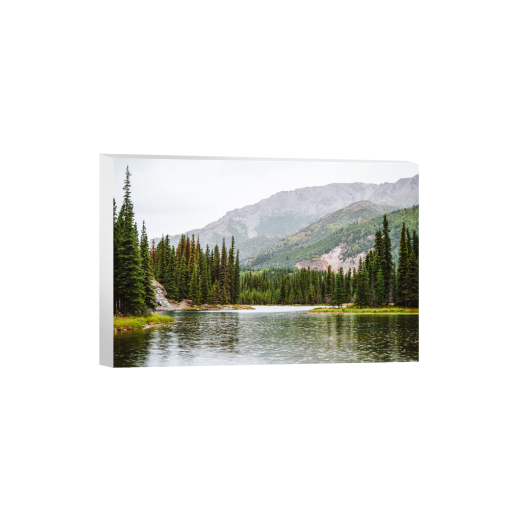 ptq_7_3_0_0_6000_4000_0_false_ffffff_0_0_.png