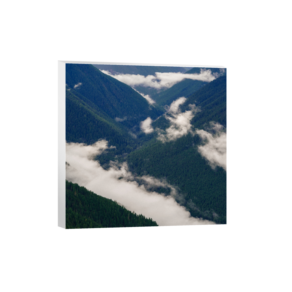 ptq_7_0_0_1000_4000_4000_0_false_ffffff_0_0_.png