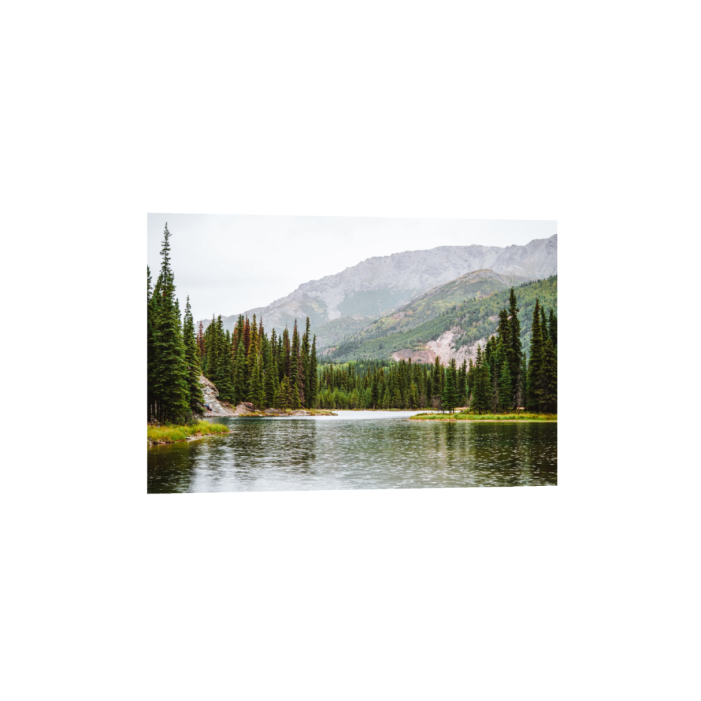 ptq_1_3_0_0_6000_4000_0_false_ffffff_0_0_.png