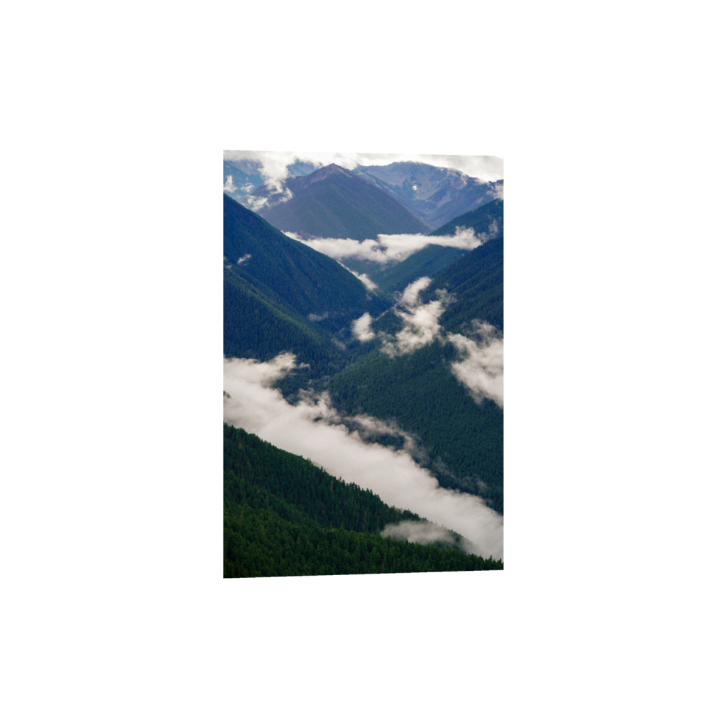 ptq_1_3_0_0_4000_6000_0_false_ffffff_0_0_.png