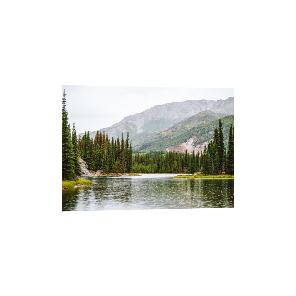 ptq_1_7_200_0_5600_4000_0_false_ffffff_0_0_.png