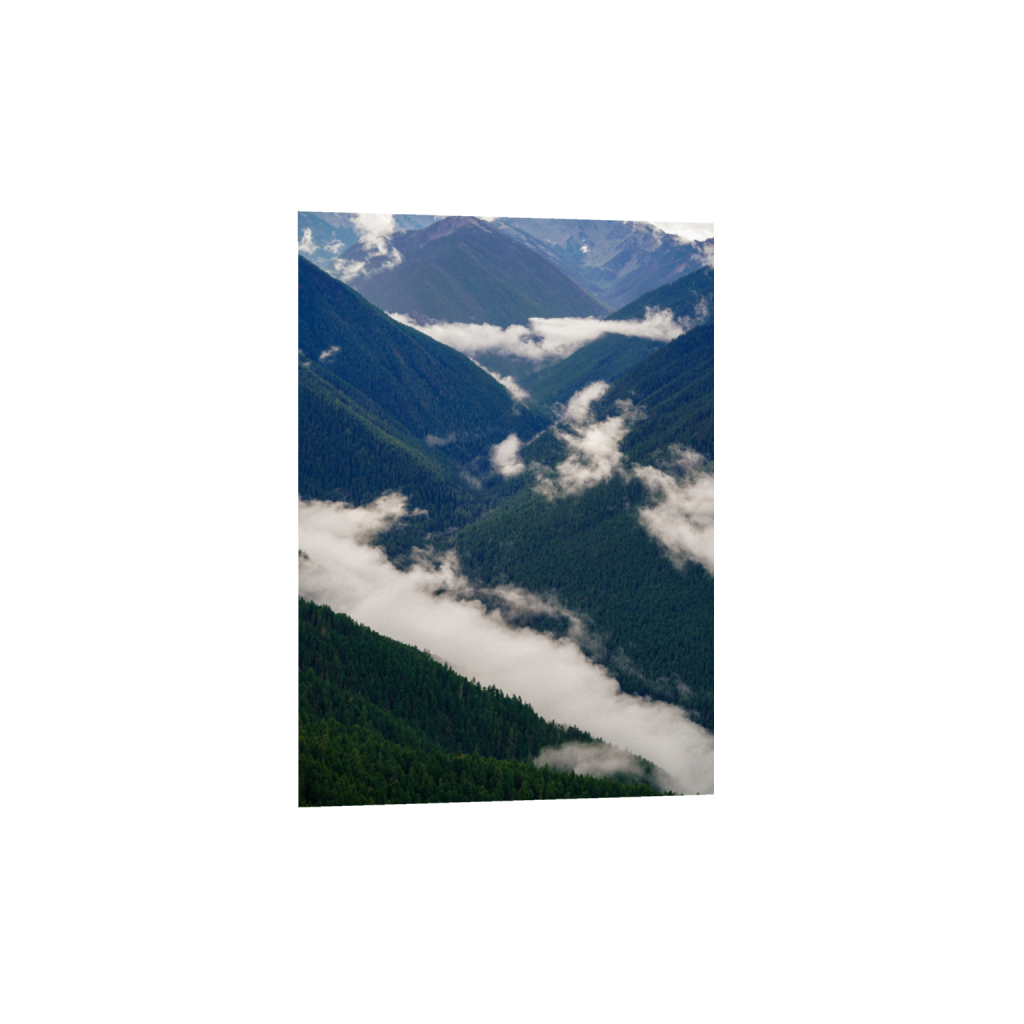ptq_1_7_0_200_4000_5600_0_false_ffffff_0_0_.png
