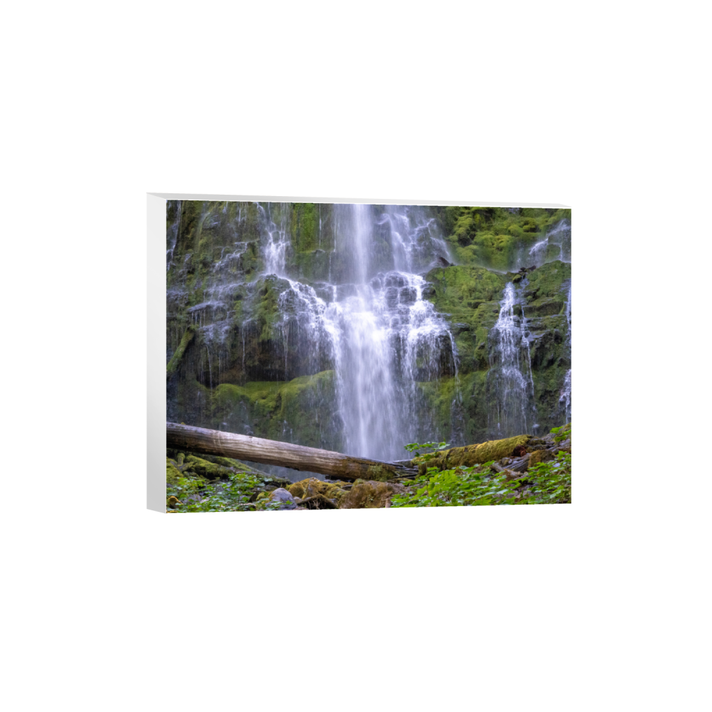 ptq_7_5_333_0_5333_4000_0_false_ffffff_0_0_.png