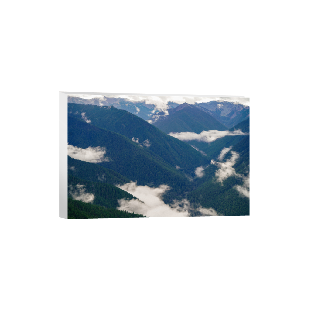 ptq_7_3_0_0_6000_4000_0_false_ffffff_0_0_.png
