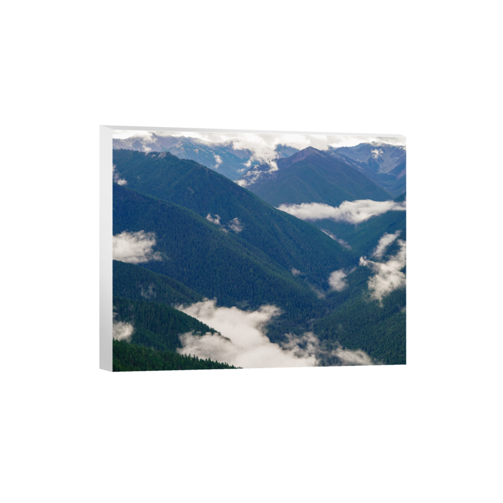 ptq_7_6_500_0_5000_4000_0_false_ffffff_0_0_.png