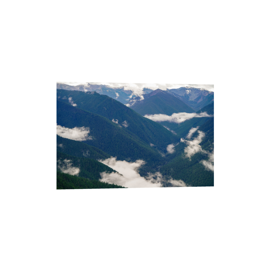 ptq_1_3_0_0_6000_4000_0_false_ffffff_0_0_.png