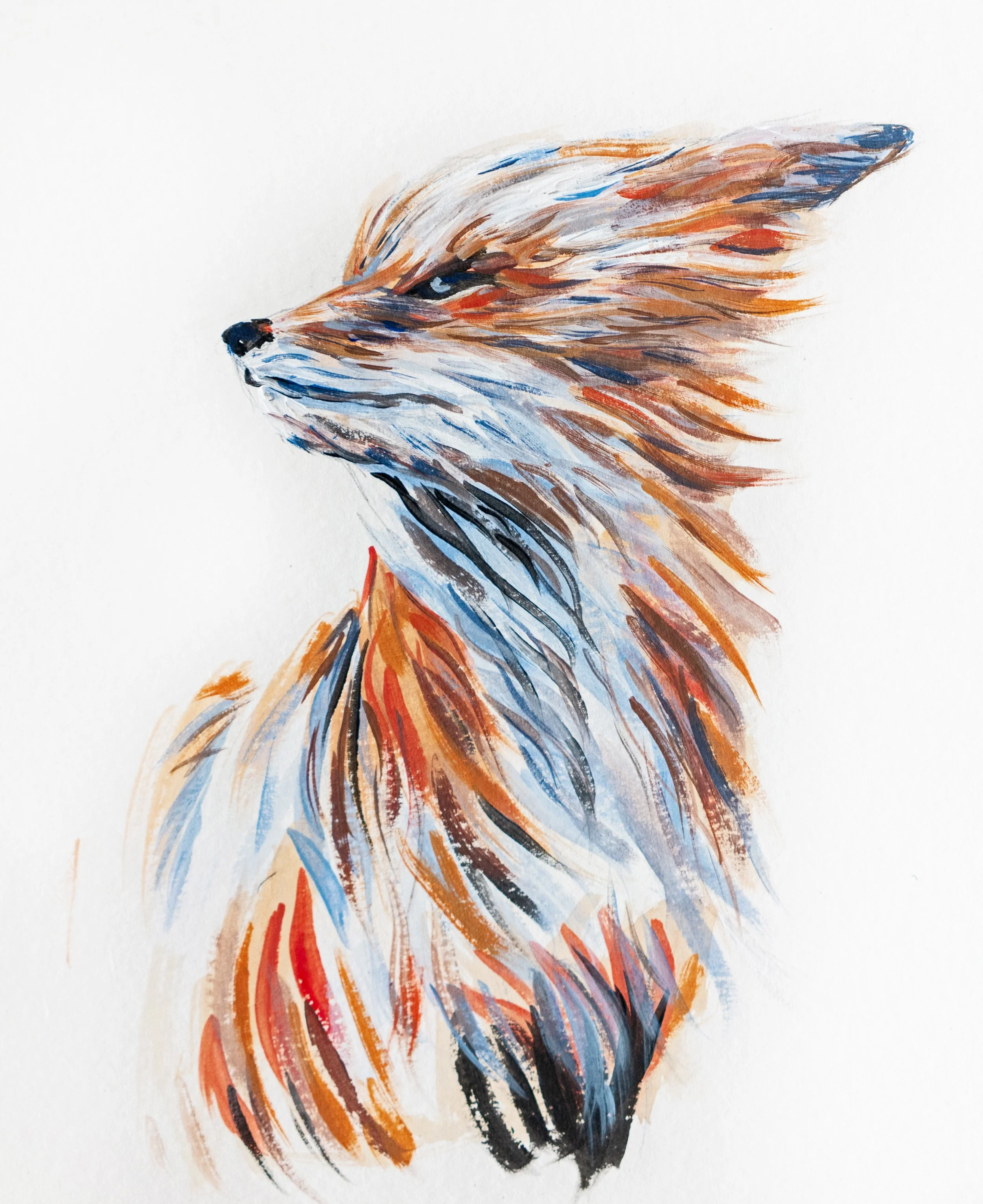 illustration-animaux-renard-peinnture.jpg