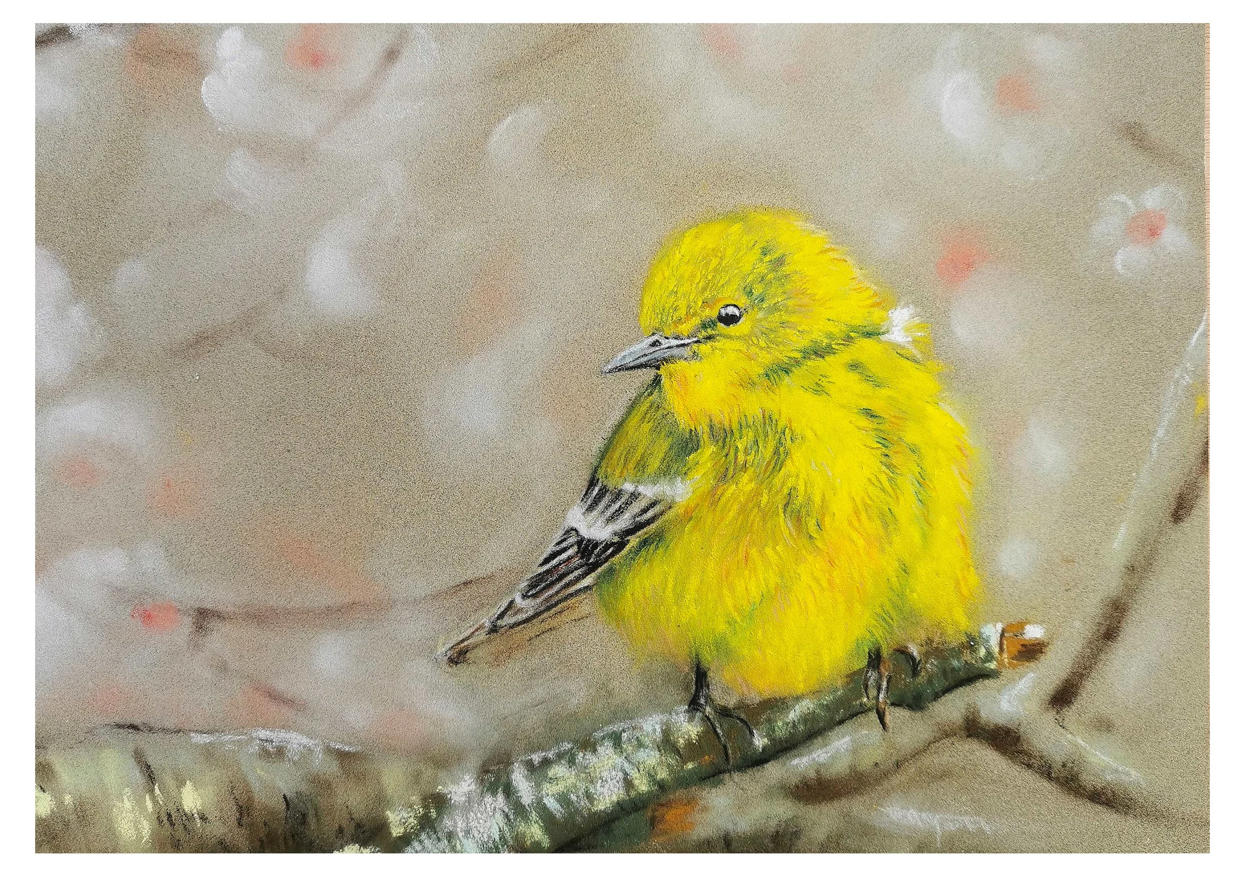 Un dessin d'un oiseau jaune perchée sur une branche - oeuvre original - pastel sec - décors sur mesure - artiste Loiseau jone