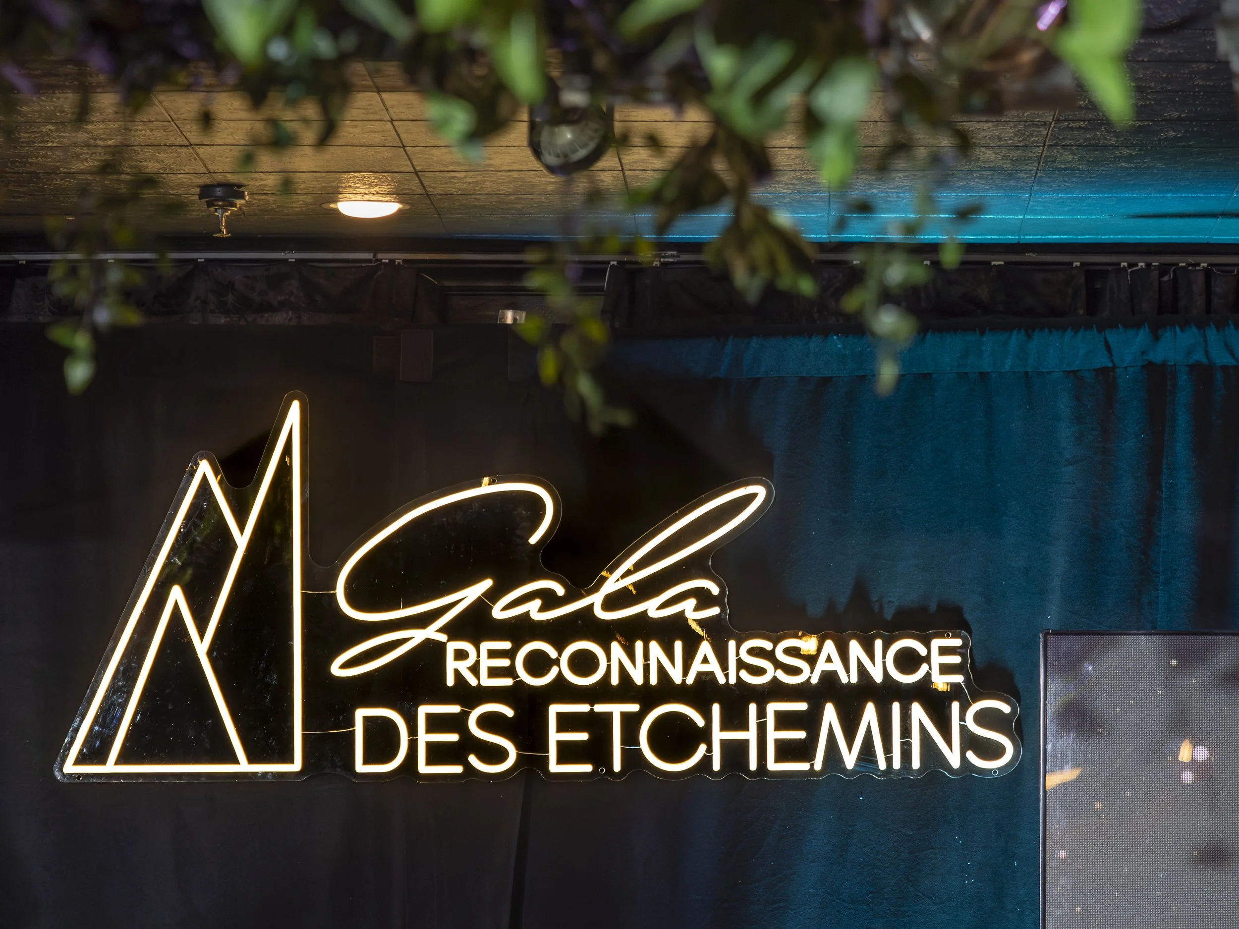 GRE_Cocktail et soirée-28.jpg