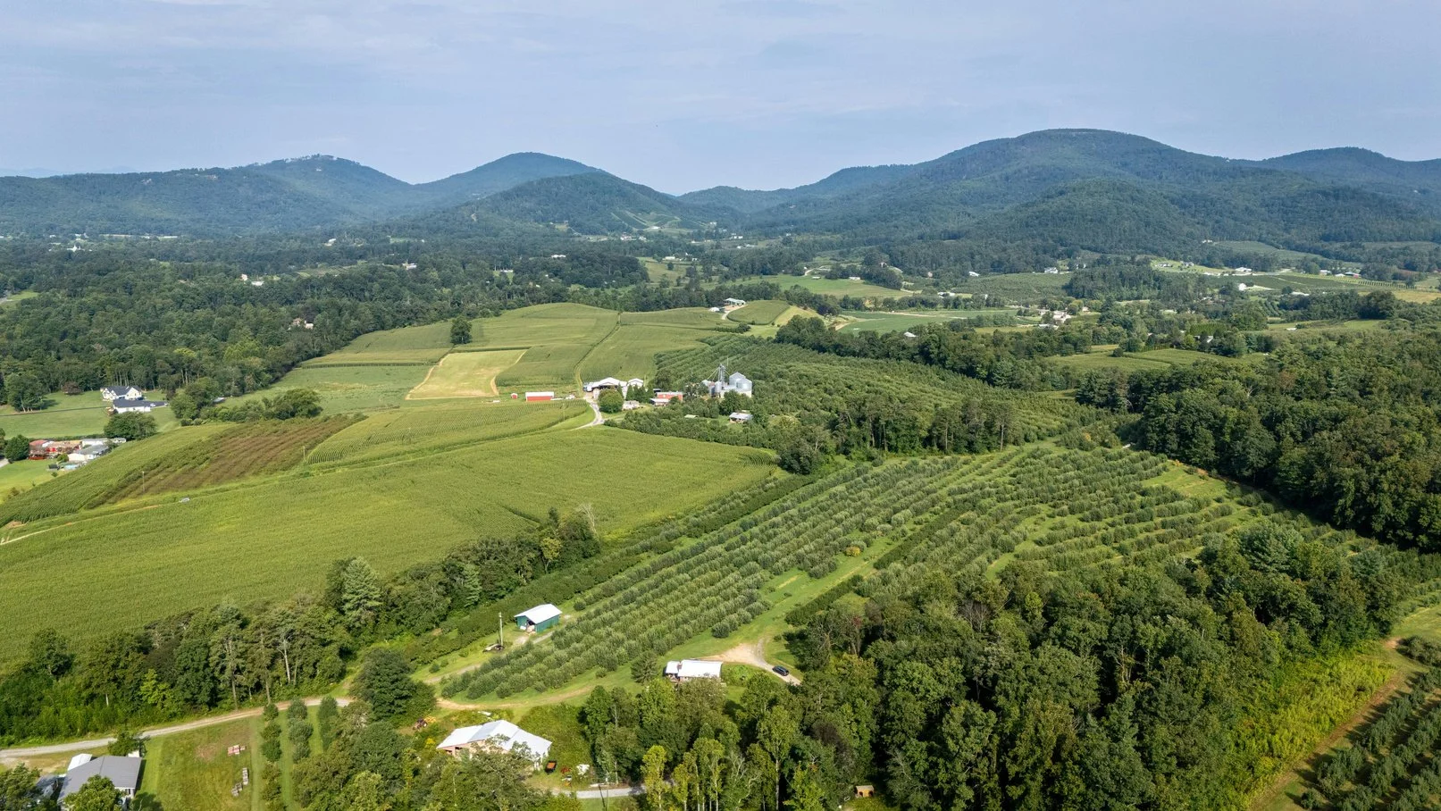 Aerial view of North Carolina farmland showing green rolling hills and the Appalachian Mountains in the background