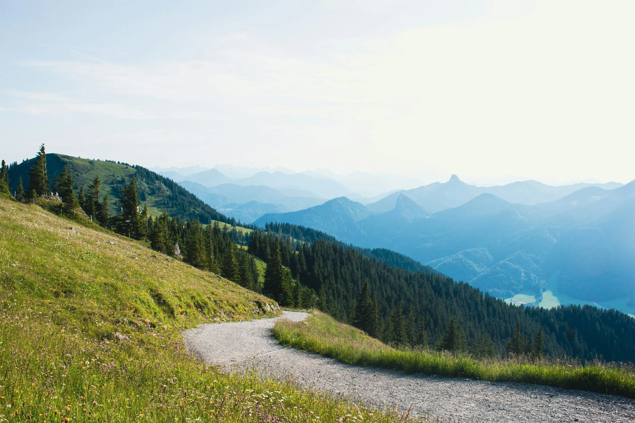 Photograph of a mountain hiking trail with evergreen forest and additional mountains in the background