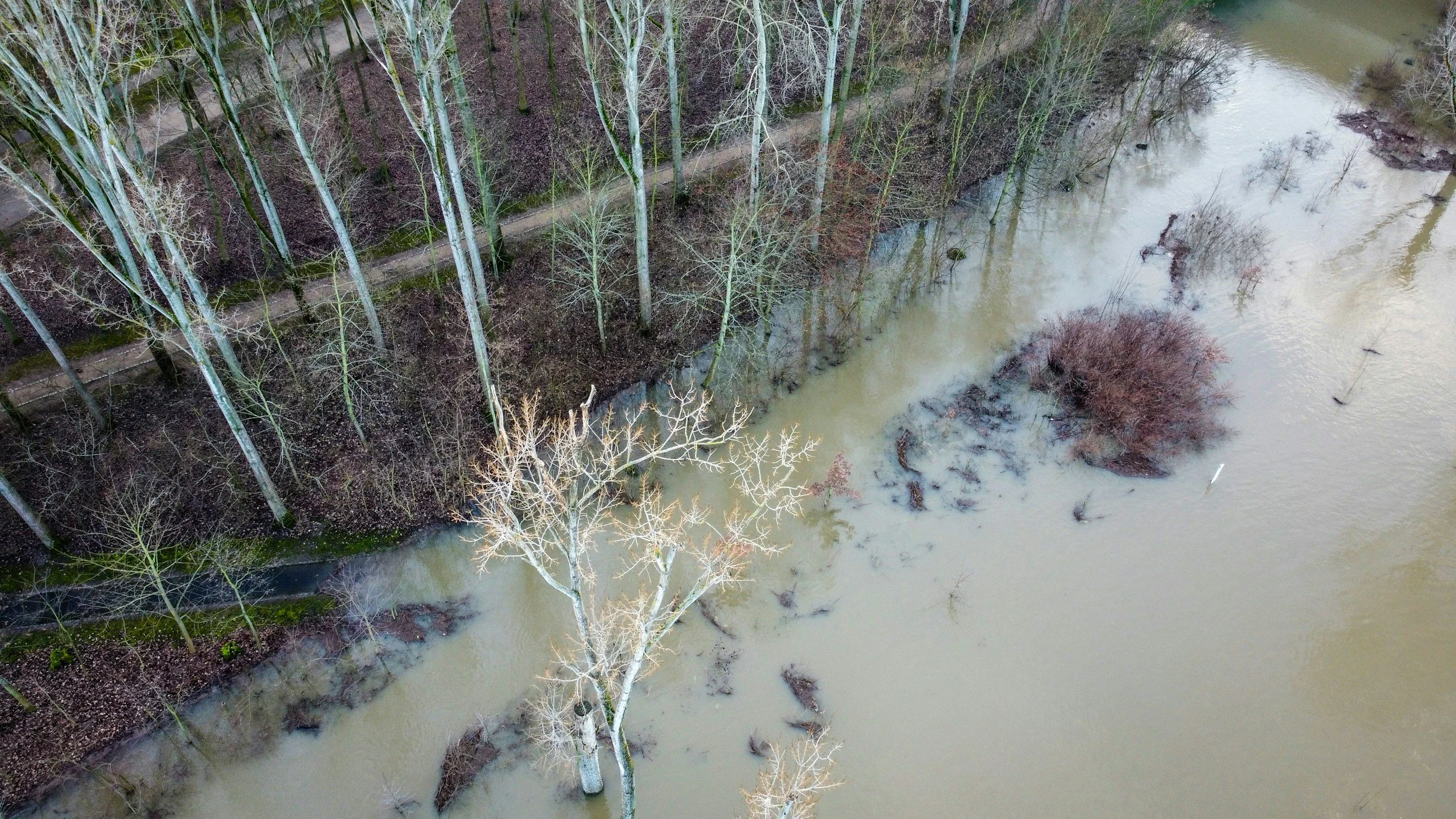 Photograph showing a birds-eye view of a flooded river