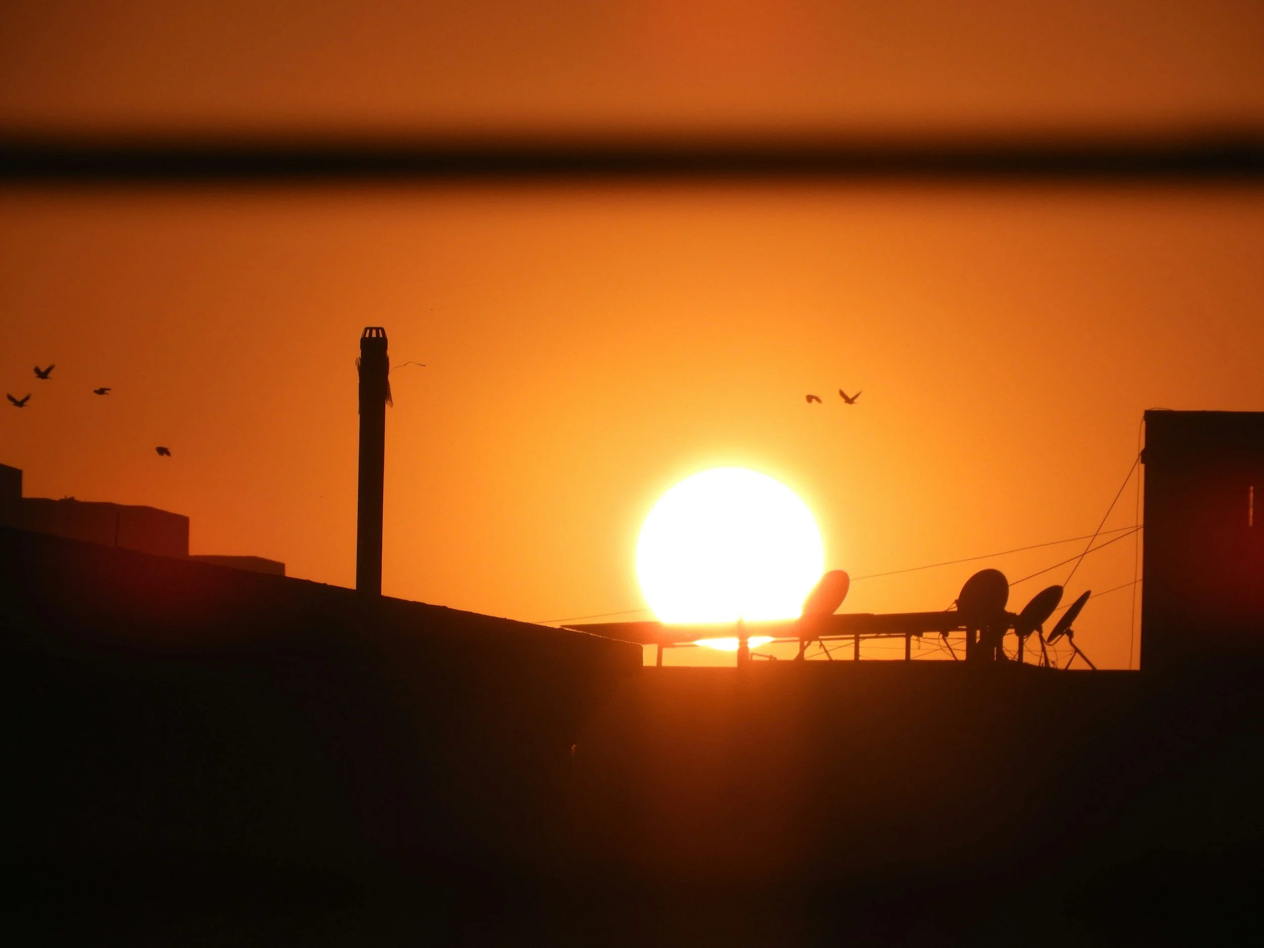 Extreme Heat – Building Differently: Special Edition