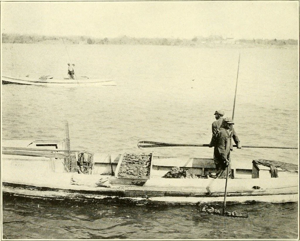 Two fishermen tong oysters in the Chesapeake Bay with another fishing boat in the background