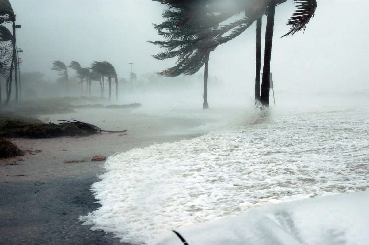 Palm trees and waves display the effects of high winds as a hurricane makes landfall in Key West, FL