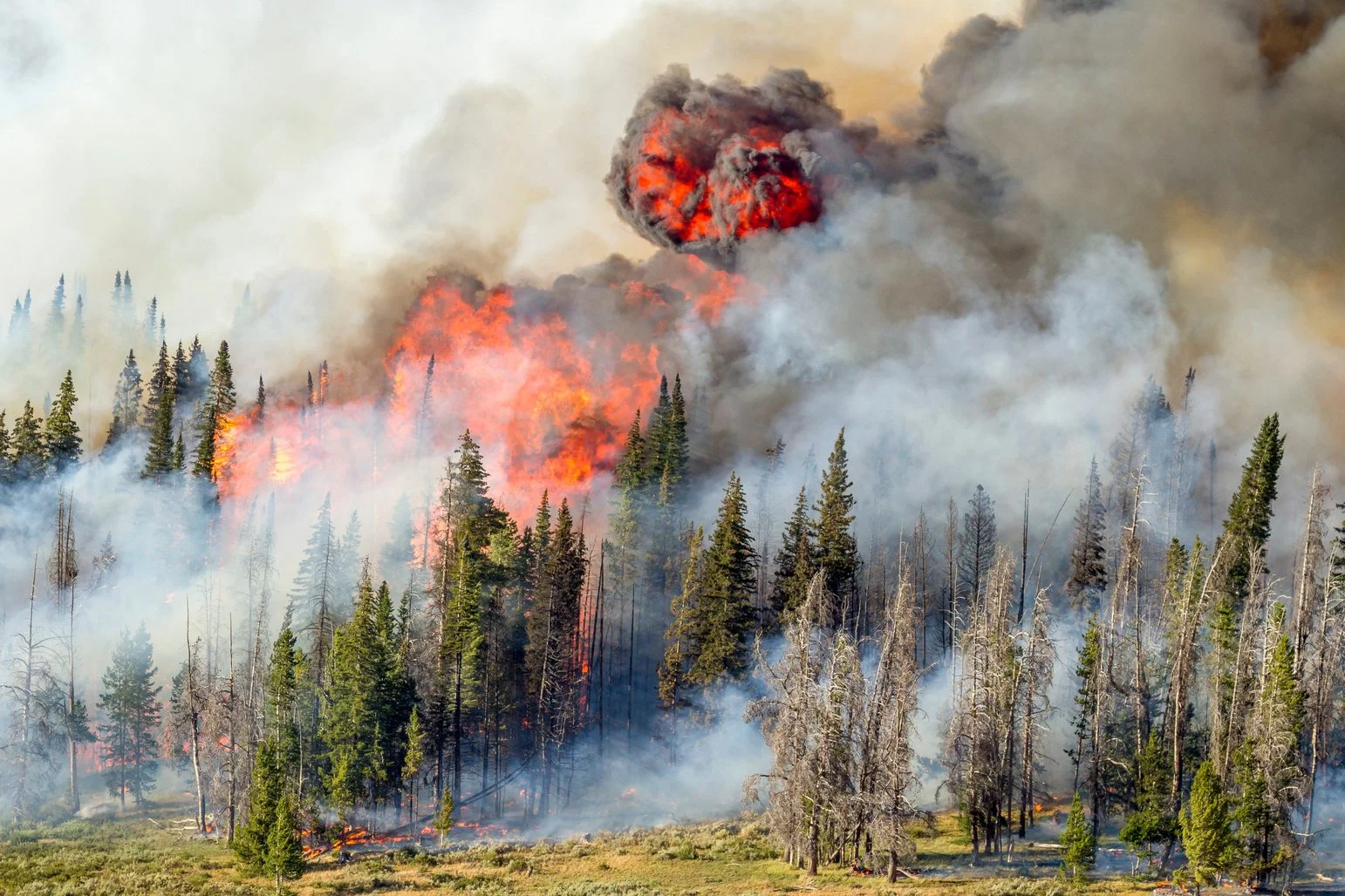 Large flames and plumes of smoke rise up above Shoshone National Forest during the 2016 Lava Mountain Fire in Wyoming