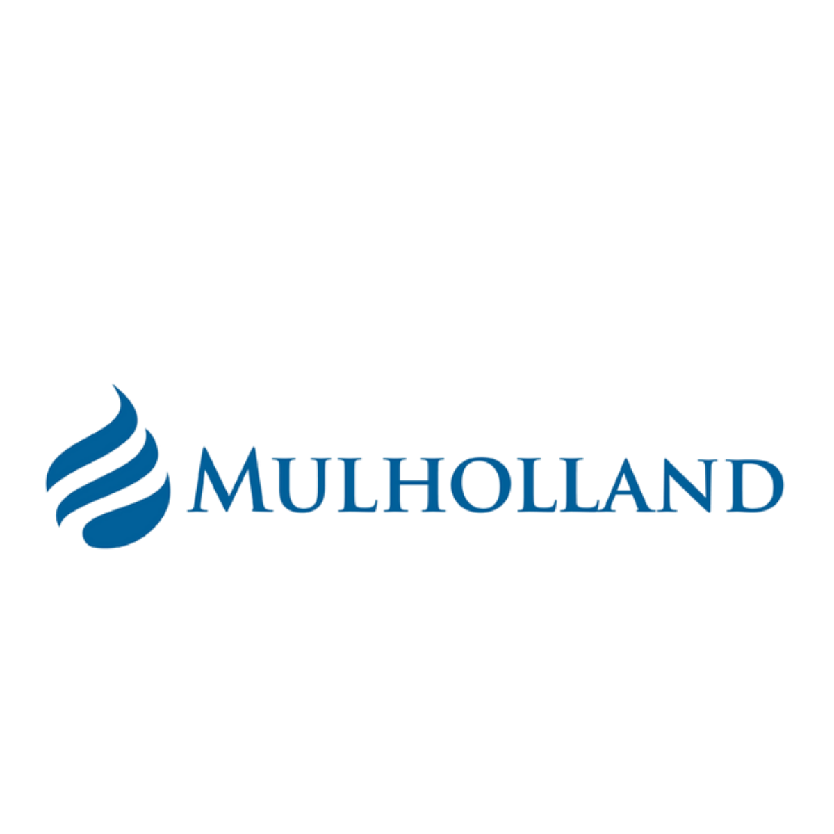 Multiholland logo with stylized blue flame icon and the word 'MULTIHOLLAND' in blue text.