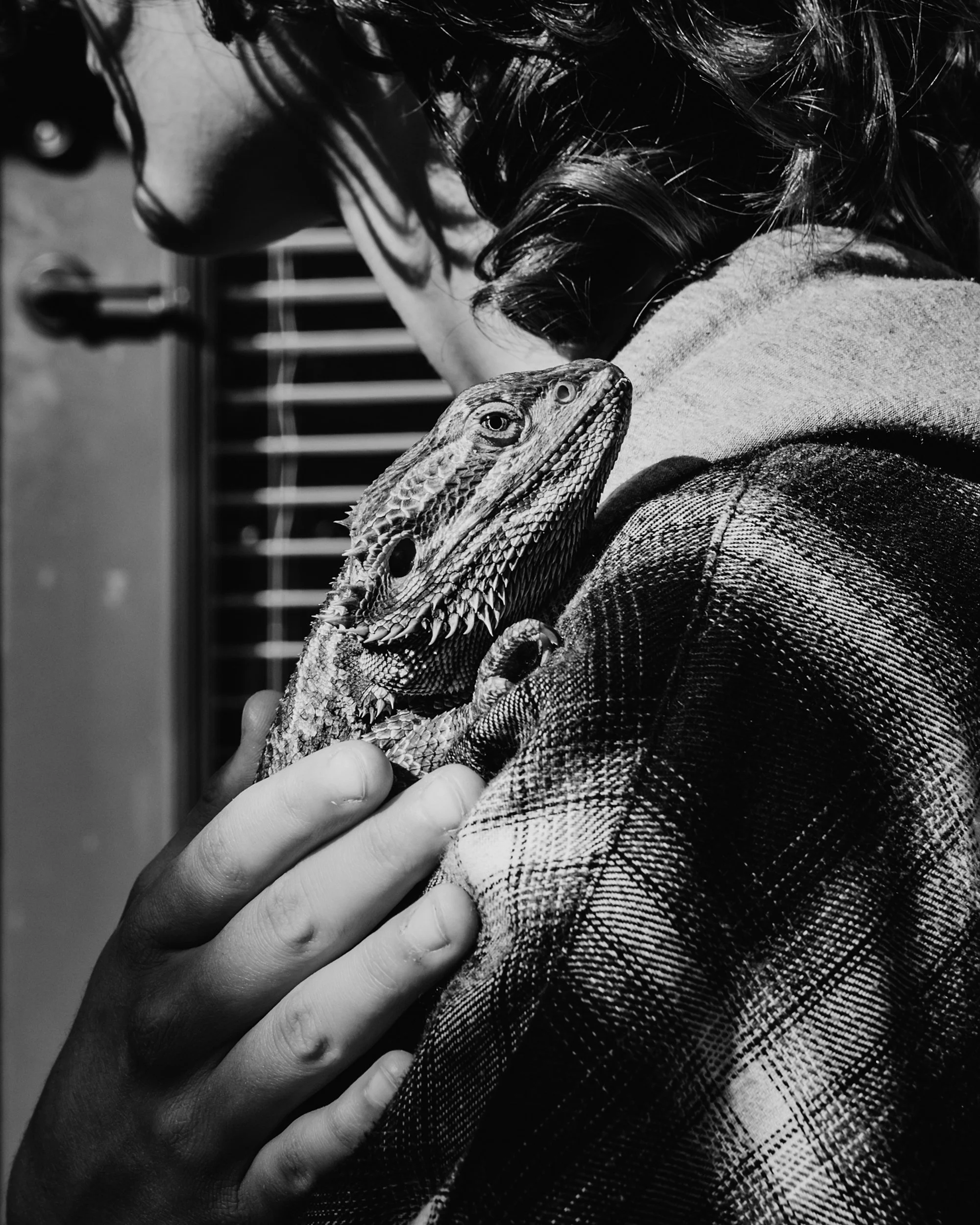 Bellingham.family.photographer021.jpg