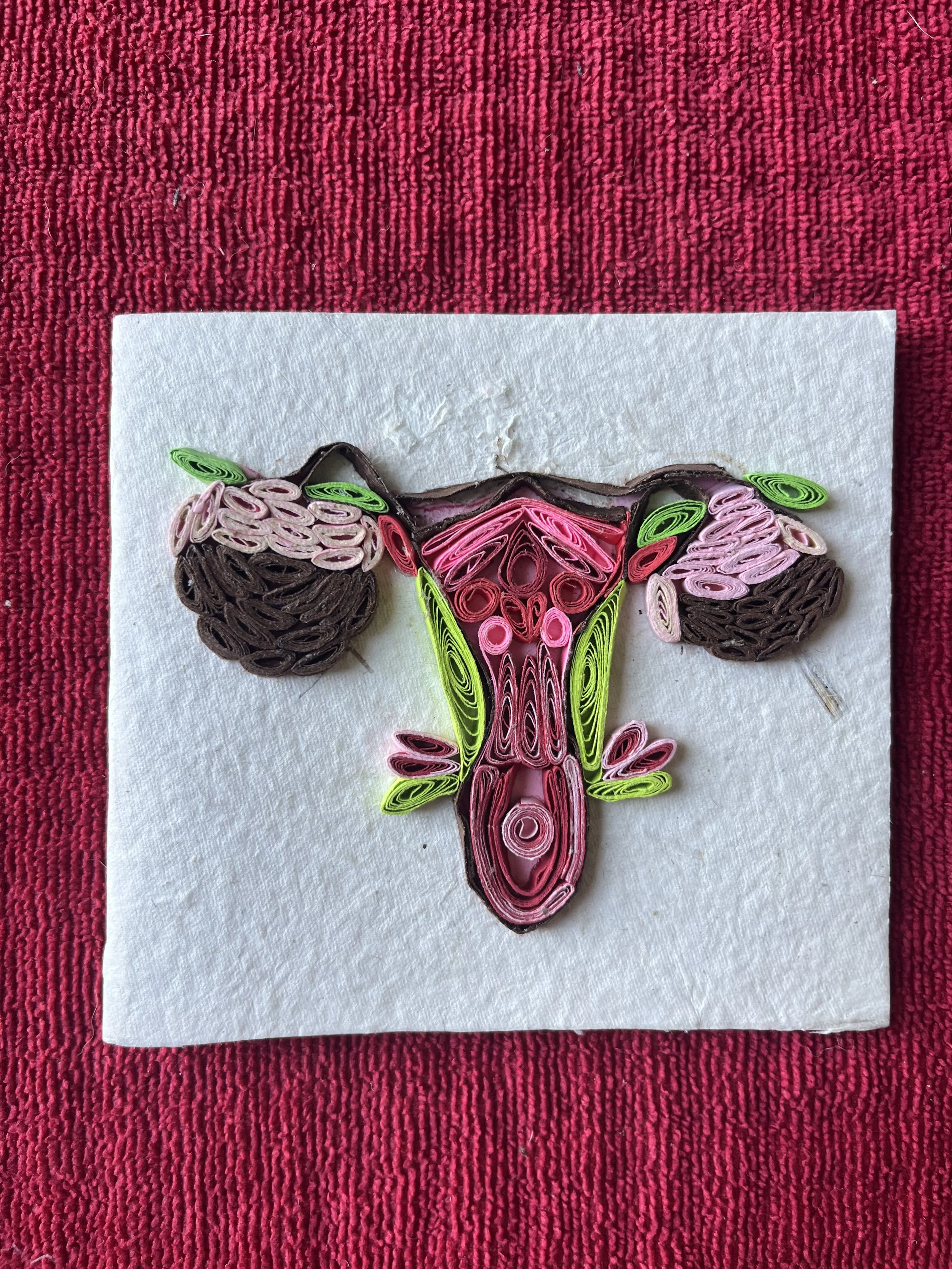 Uterus note card