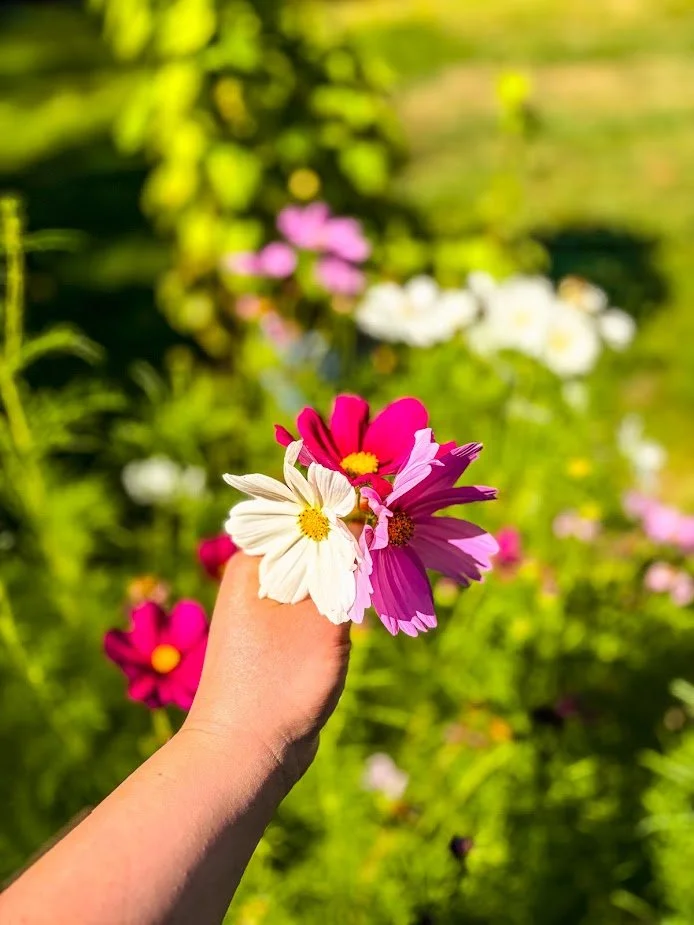 C6C780E1-A76F-4D3F-B962-37E911D81DFD.jpg
