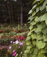 E4E50A87-4C78-43F1-8518-5009AF24FCE1.jpg