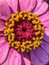 2E0843A7-B181-45BE-977F-4BC2D8ECEE7F.jpg