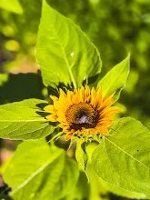 F49B8788-A246-4950-A9F5-1006D1D8F6EA.jpg